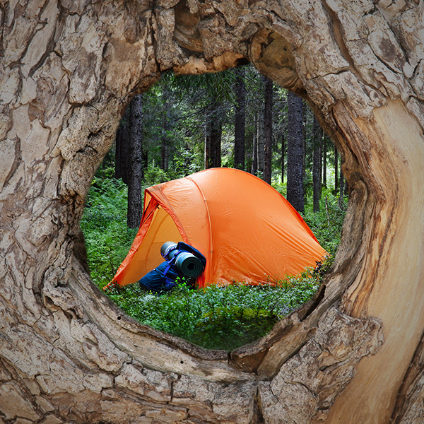 018 – CAMP!