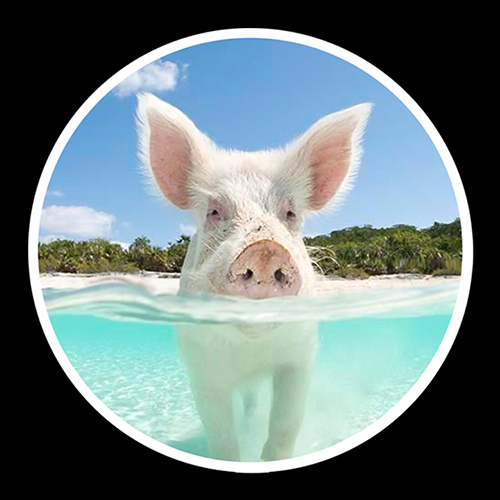 028 – FYRE ISLAND!